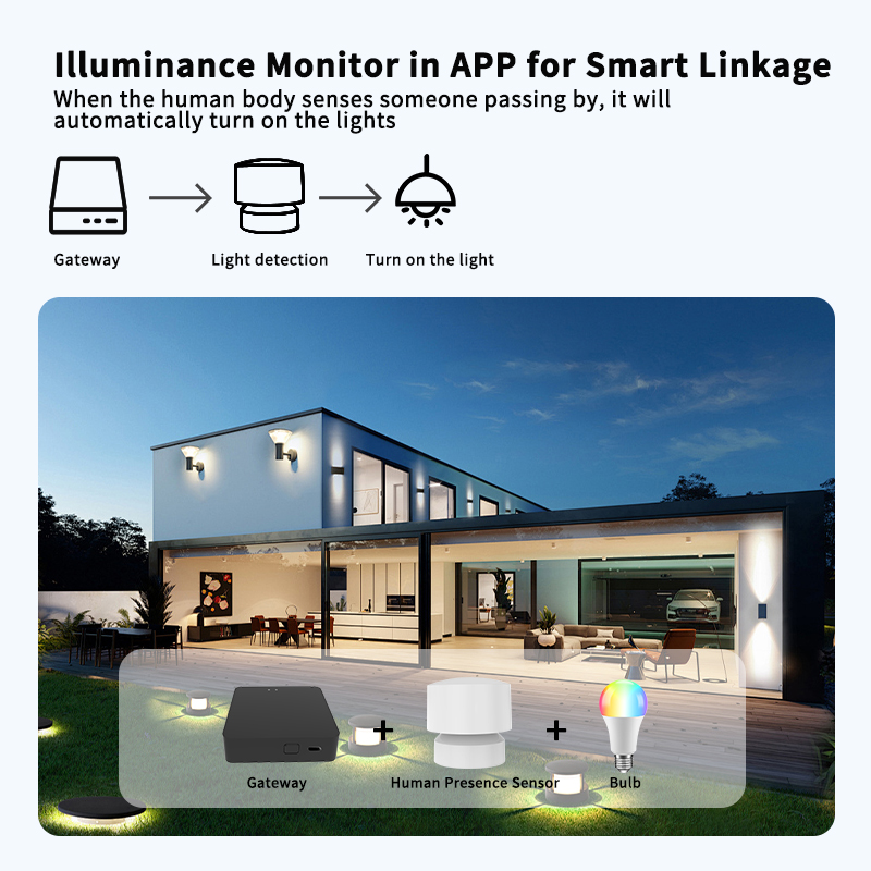 Zigbee or Wi-Fi Human Presence - đánh giá và giá Smart Home Or Smart Home