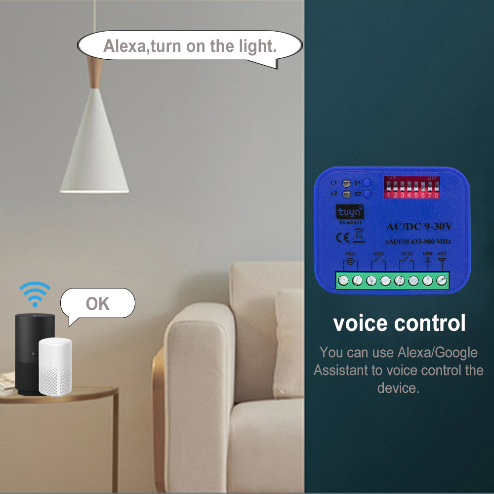 2CH 433-868MHz WiFi Garage Doo - đánh giá và giá Smart Garage Door Opener