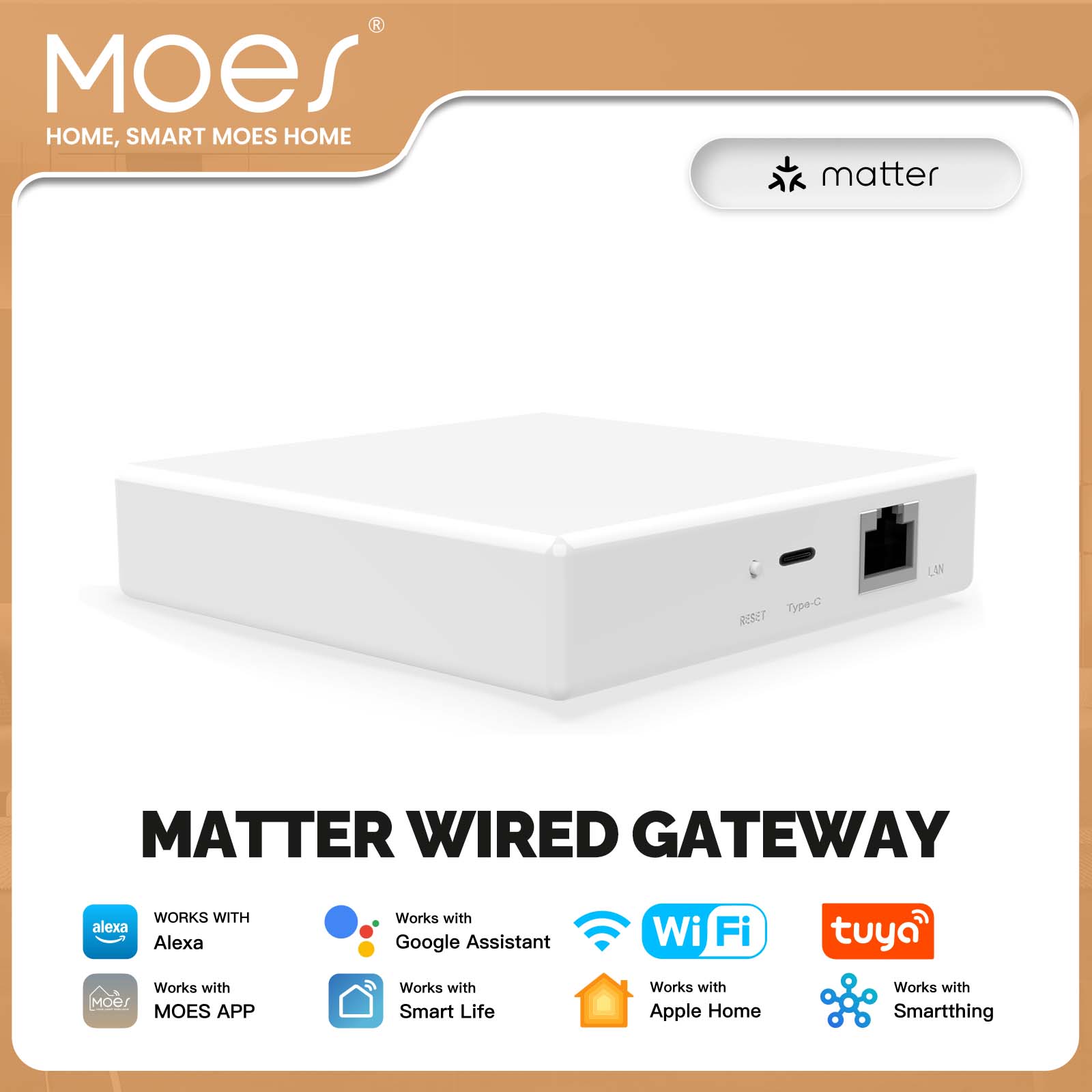 MOES Tuya ZigBee Matter Thread - đánh giá và giá Smart Home Hub Ikea